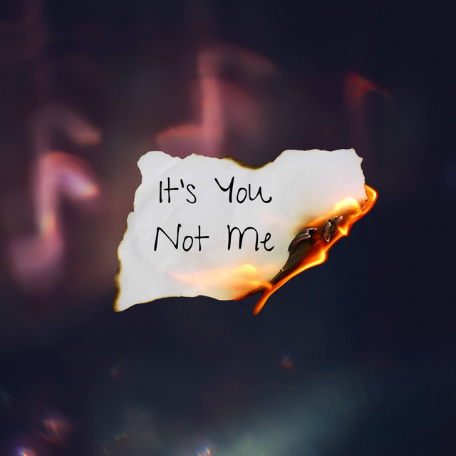 It's You, Not Me album image
