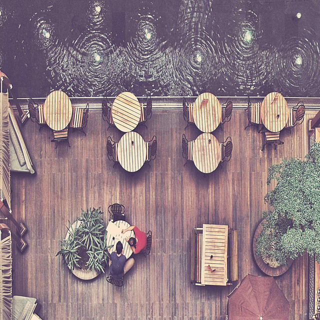 Fashionable Backdrop for Seasonal Changes cover art
