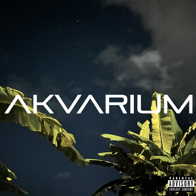 AKVARIUM cover art