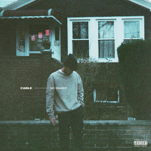 No Snakes cover art
