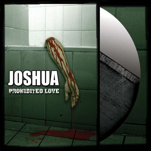 Prohibited love cover art