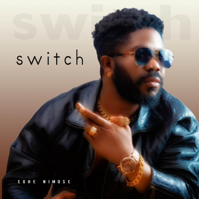 switch cover art