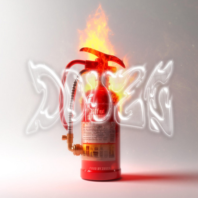 DOUZE cover art