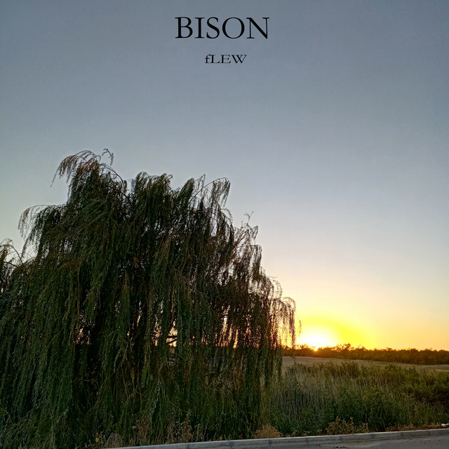 Flew cover art