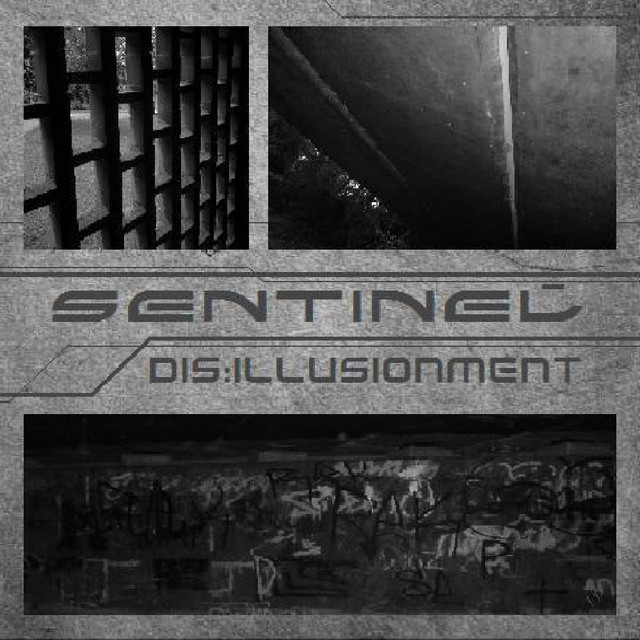 Dis:illusionment cover art