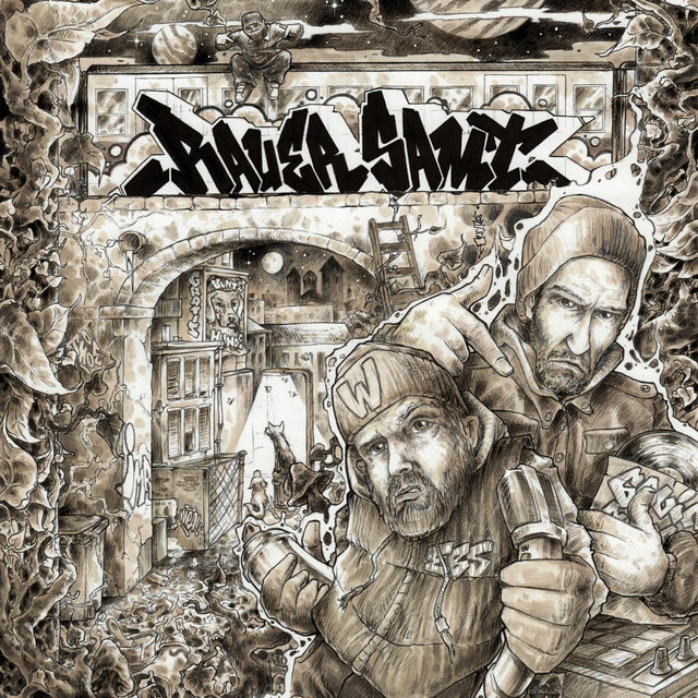 Rauer Samt cover art