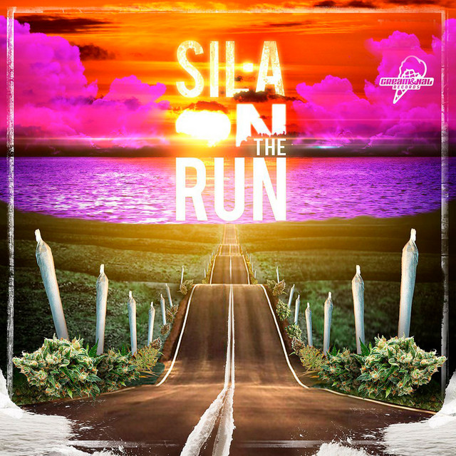 On the run cover art