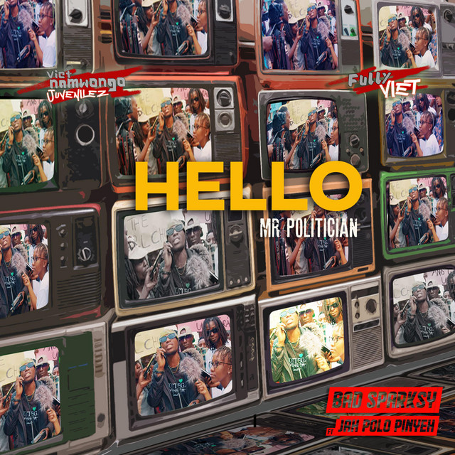 Hello (Mr. Politician)