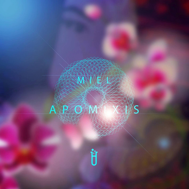 Apomixis