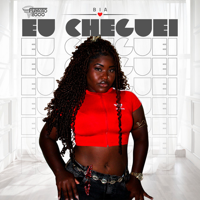 Cheguei album image