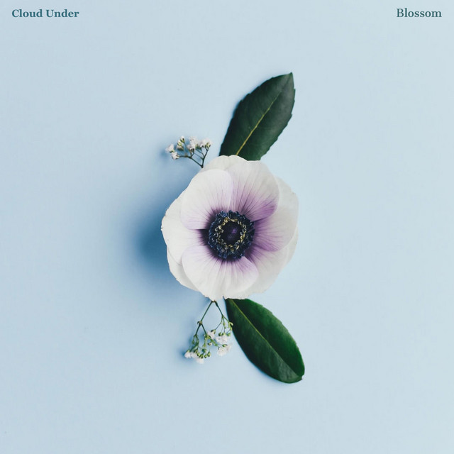 Blossom cover art