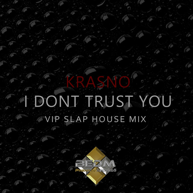 I Dont Trust You - VIP Slap House Mix
