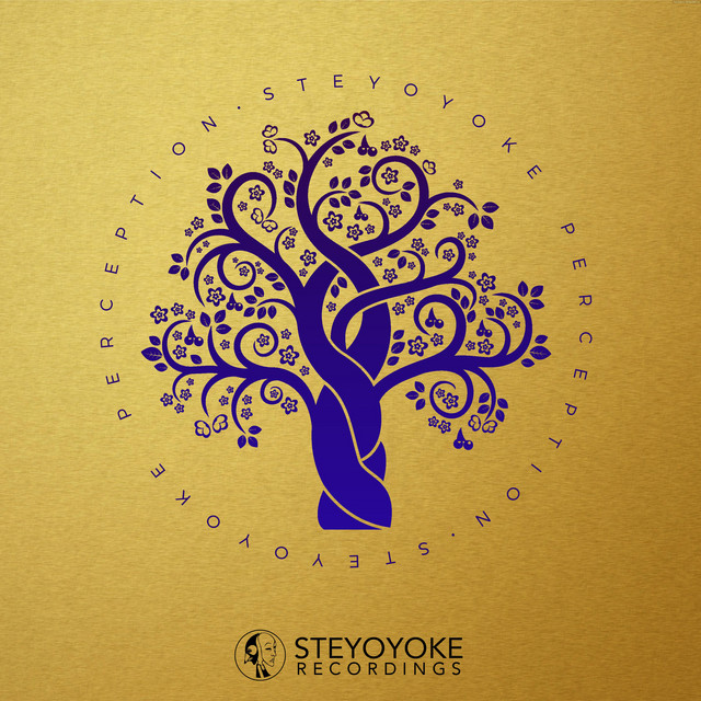 Steyoyoke Perception, Vol. 09 cover art