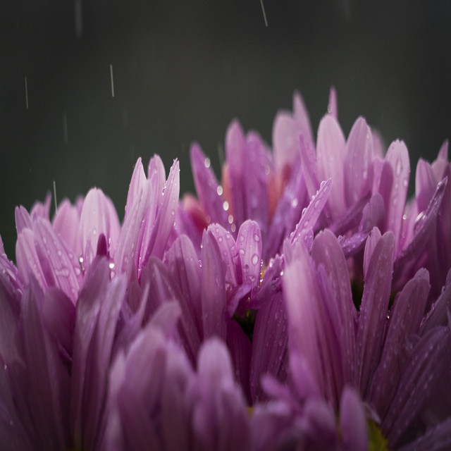 25 Loopable Rain Sounds for Sleep, Relaxation, Spa, Meditation, Study, Insomnia cover art