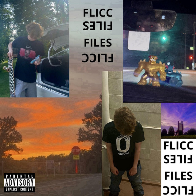 FLICC FILES cover art