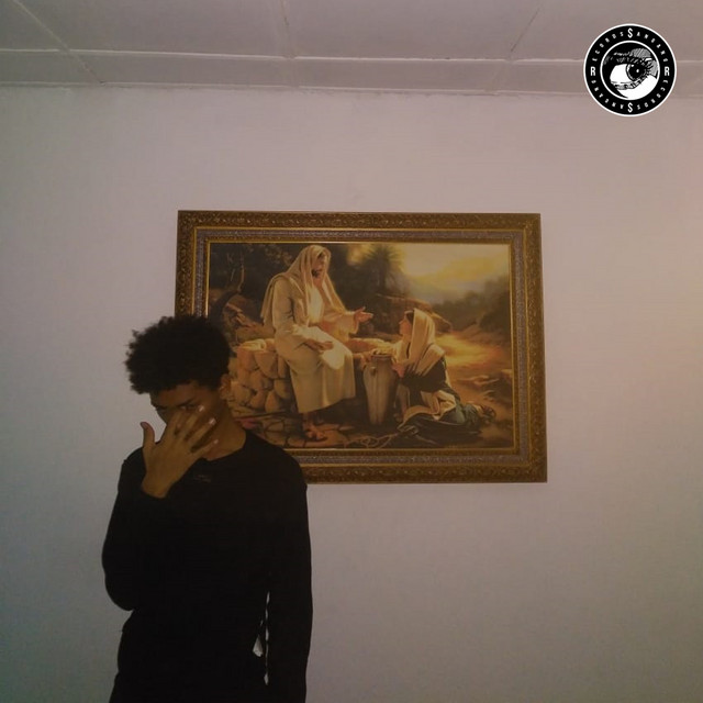 Excuse Me, Stupid Sir. cover art