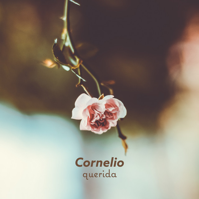 Querida cover art