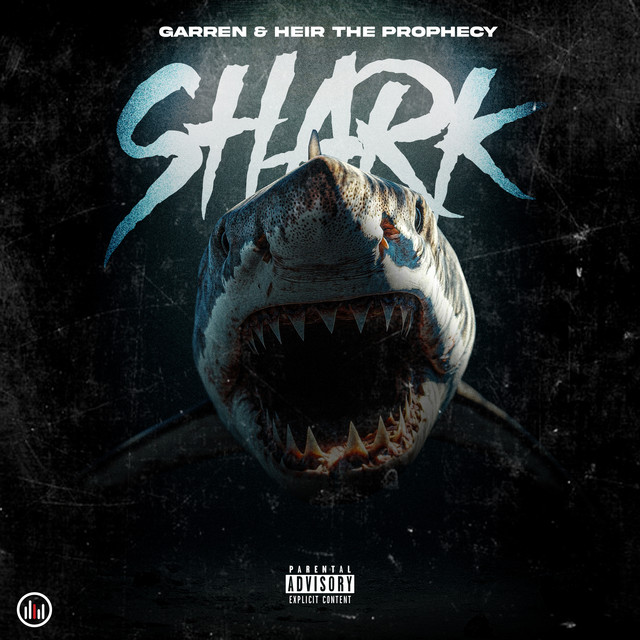Shark