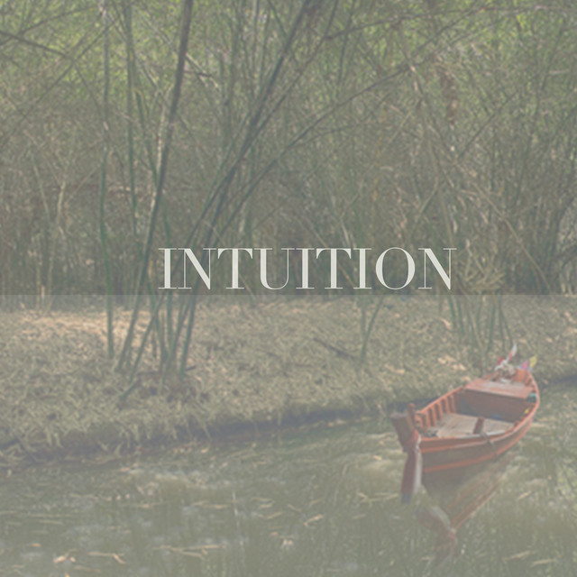Intuition by Mae Ji-Yoon