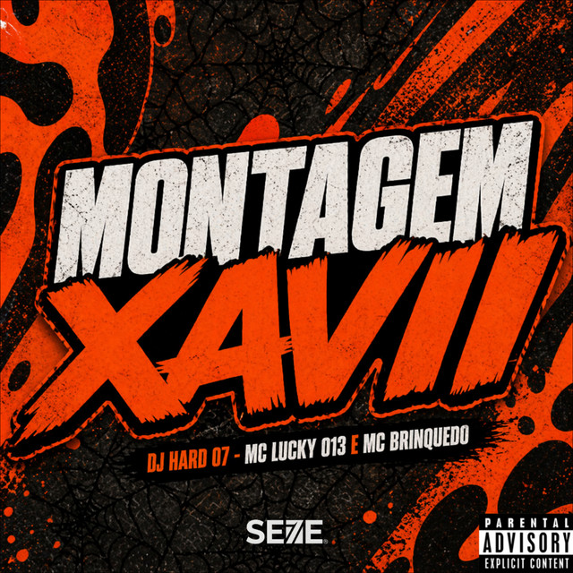 MONTAGEM XAVII