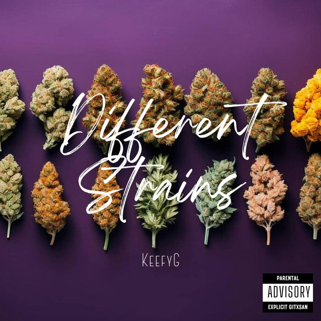 Different Strains cover art