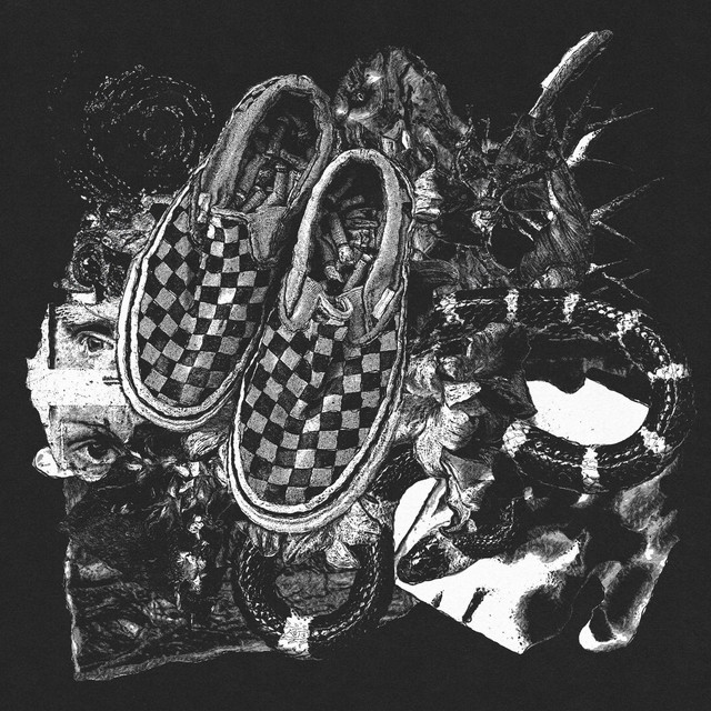 Shedding - Single