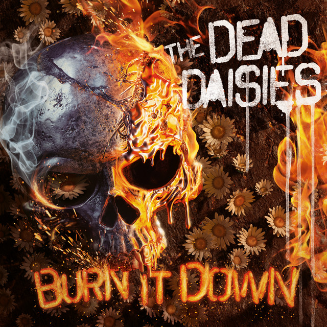 Burn It Down cover art