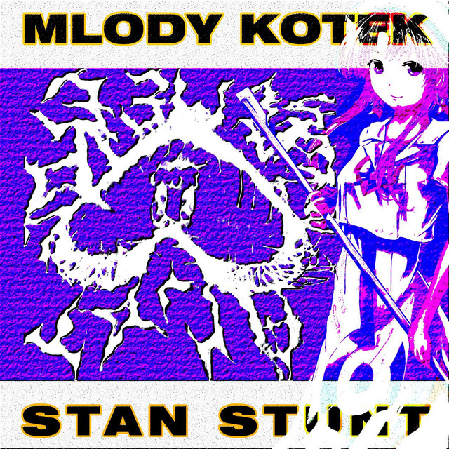 Młody Kotek Photo