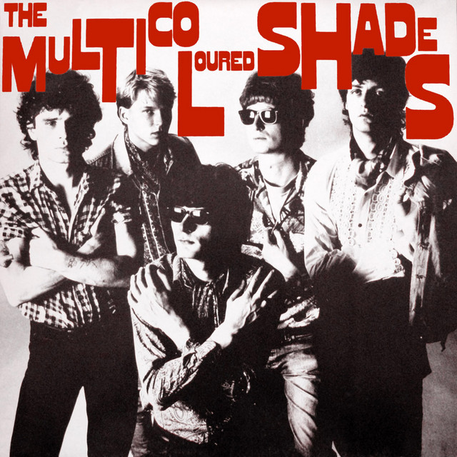 The Multicoloured Shades cover