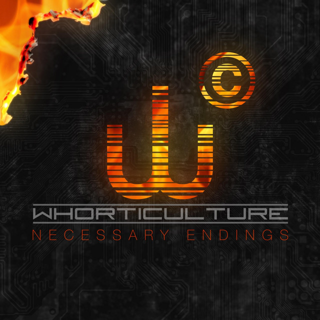 Necessary Endings cover