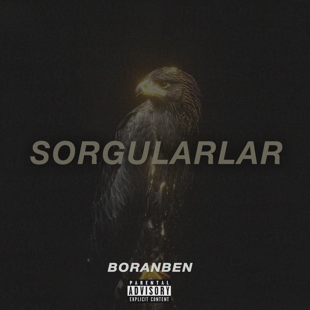 SORGULARLAR cover art