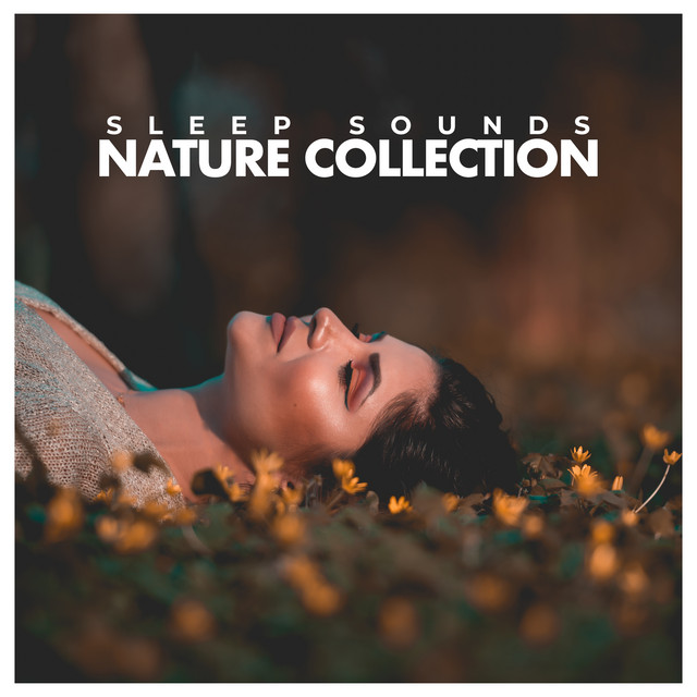 Sleep Sounds: Nature Collection - Album by Zen Music Garden | Spotify