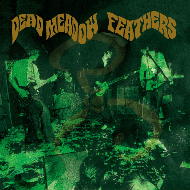 Feathers (20th Anniversary Edition)