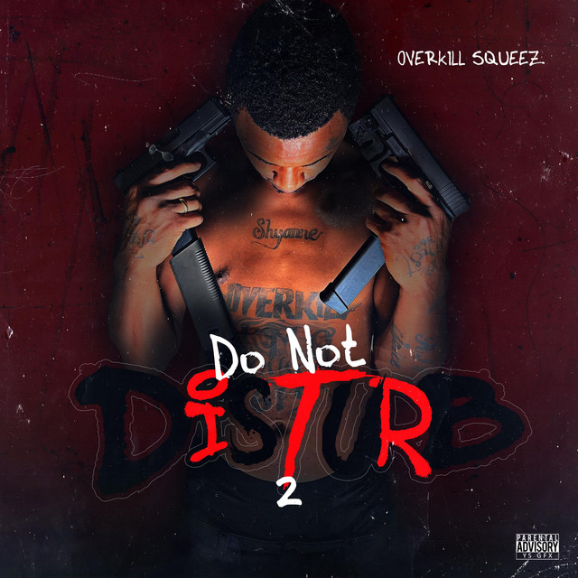 Do Not Disturb 2 cover art