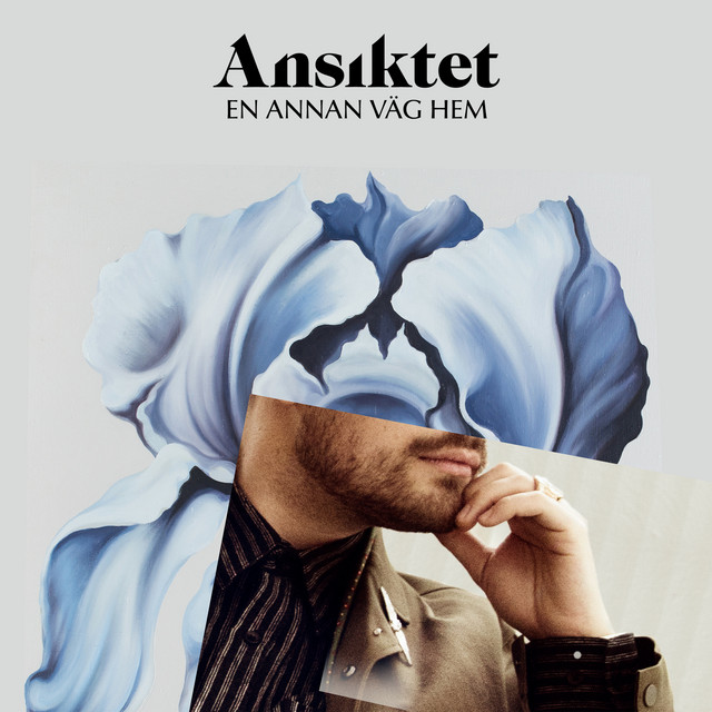 En annan väg hem