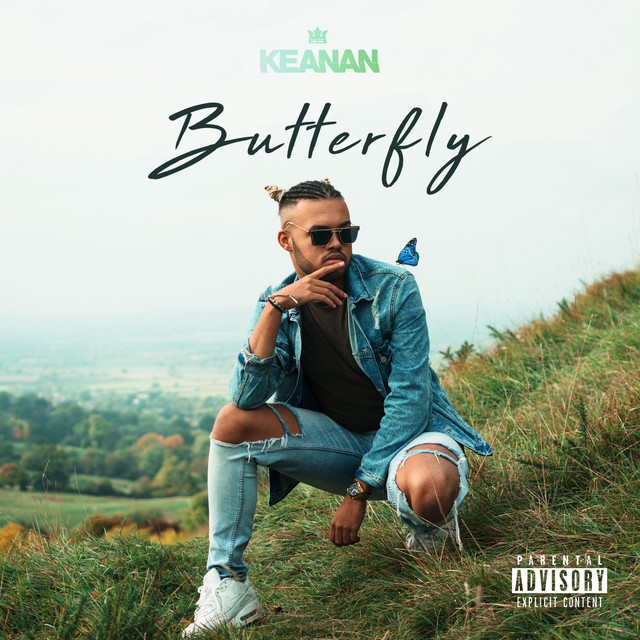 Butterfly cover art