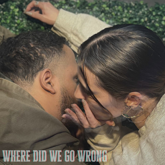 Where Did We Go Wrong cover