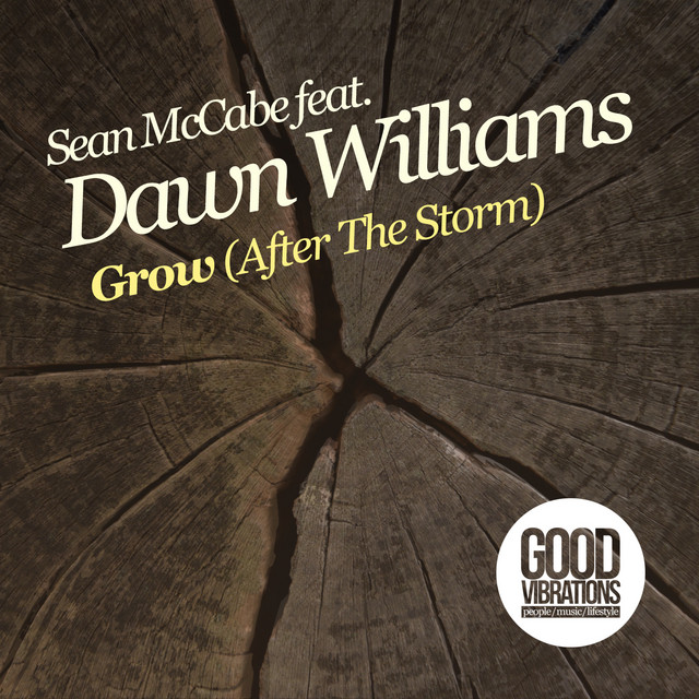 Grow (After The Storm) - Sean McCabe Patterns Vocal cover art