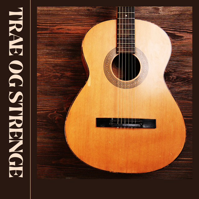 Træ og Strenge cover