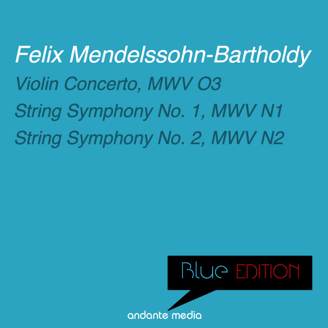 Violin Concerto in D Minor, MWV O3: I. Allegro