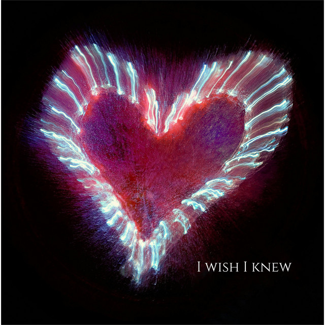 David DiNenna – I wish I knew - Studio Version
