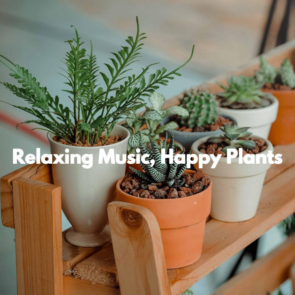Relaxing Music, Happy Plants cover art