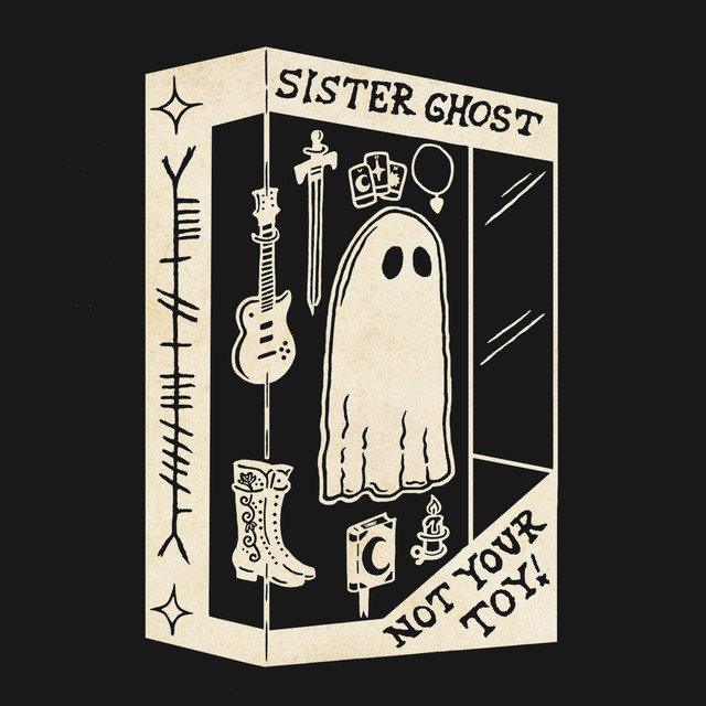 Not Your Toy cover