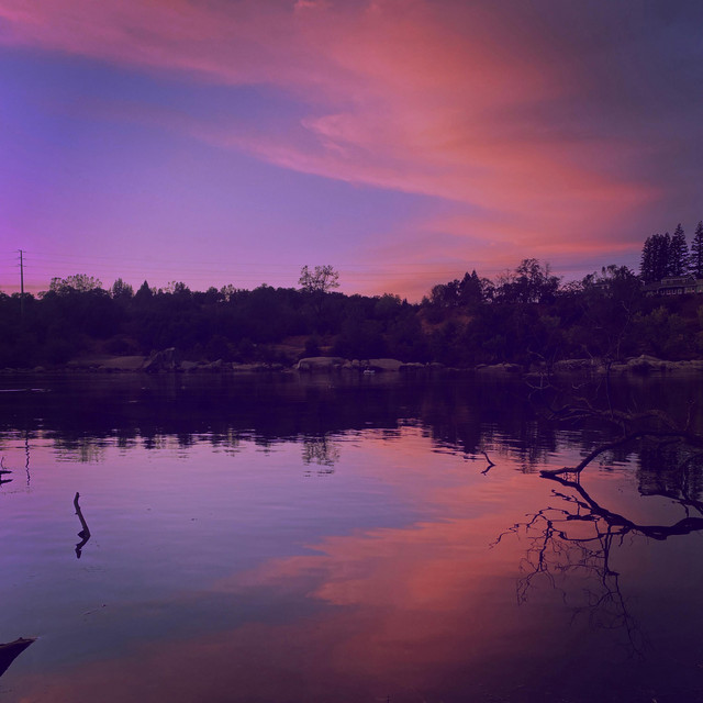 Backyard cover art