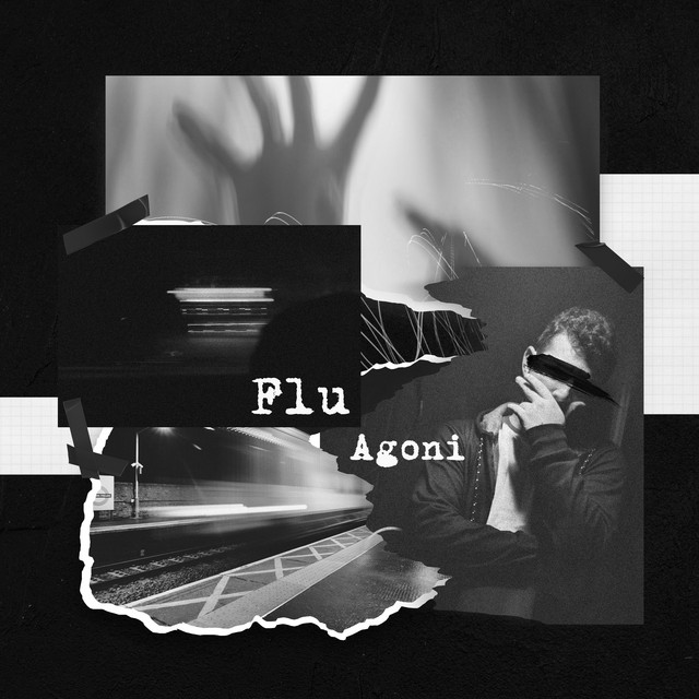 FLU cover art