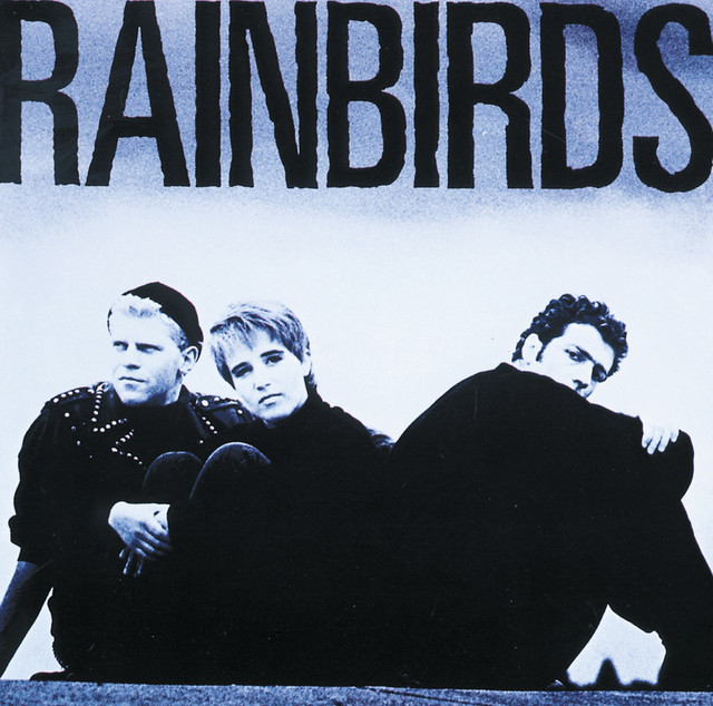 Rainbirds cover art