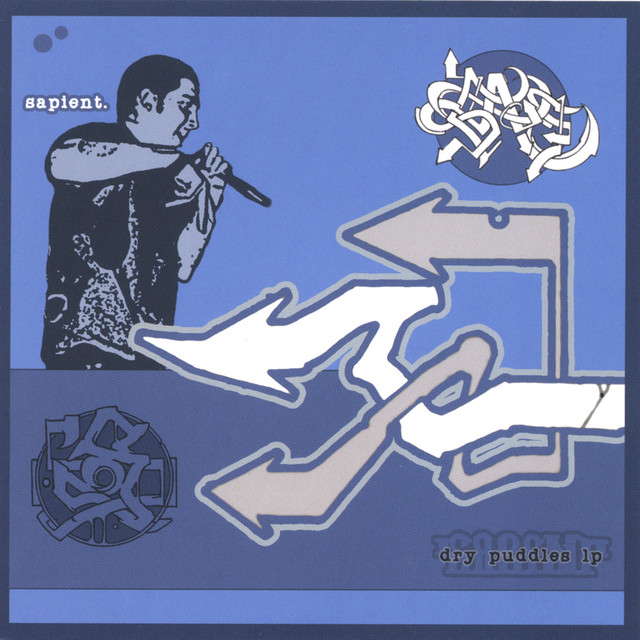 Dry Puddles cover art