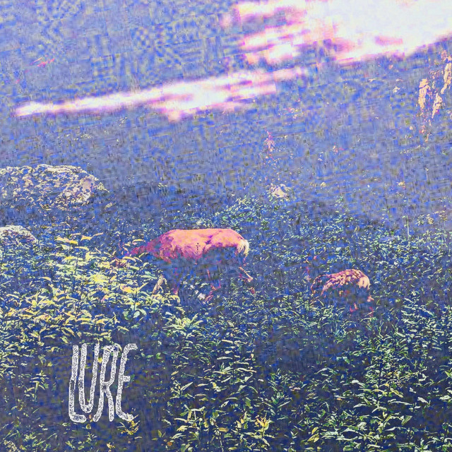 Lure album image