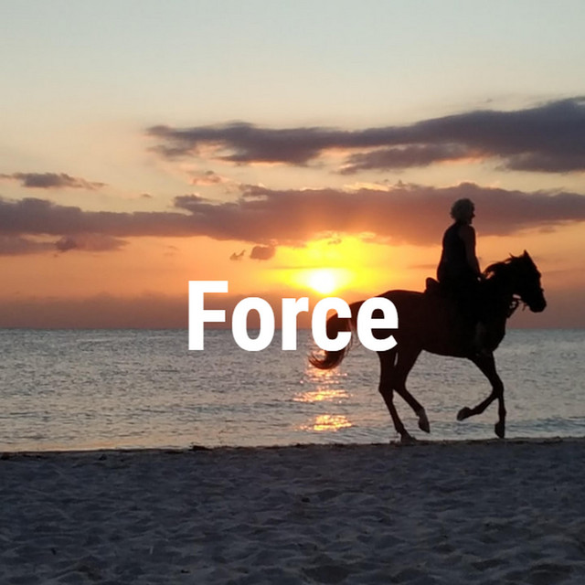 Force cover art