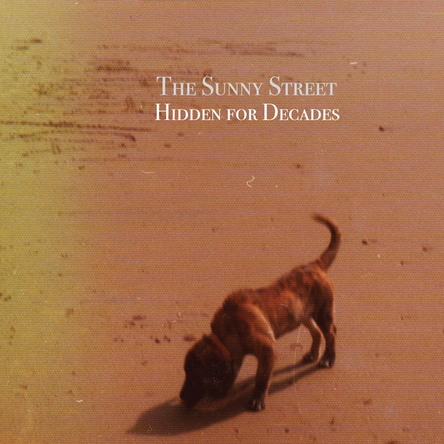 Hidden for Decades cover art